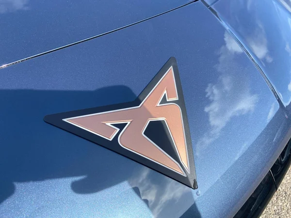 CUPRA Tavascan (2025) — foto 10 van 20