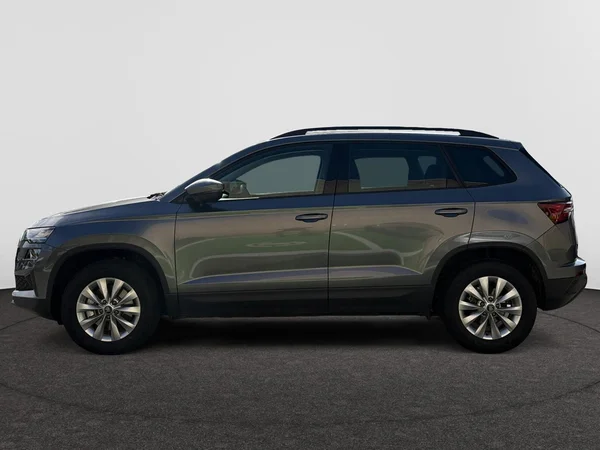 SKODA Karoq (2026) — foto 8 van 15