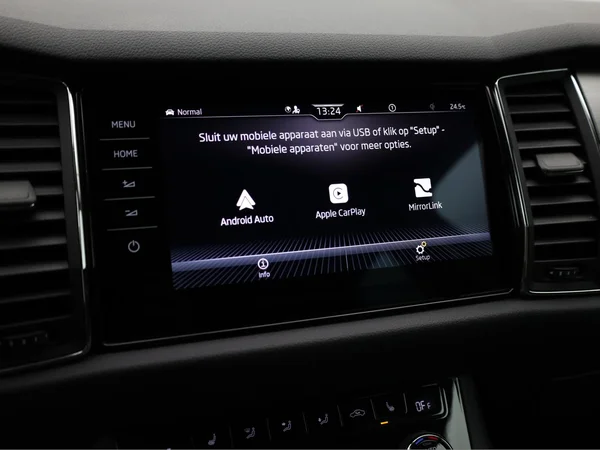SKODA Kodiaq (2021) — foto 16 van 25