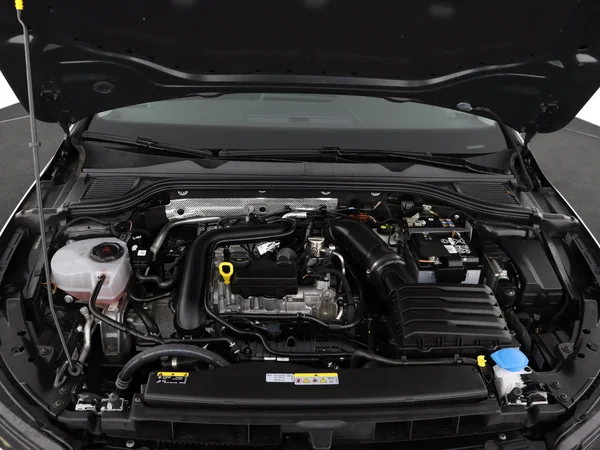 VOLKSWAGEN Golf (2024) — foto 6 van 28