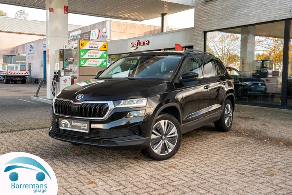 Skoda Karoq (2023) — foto 39 van 43