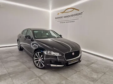 Jaguar XF e6a11ccd-af1d-4254-b61f-d4e572265789