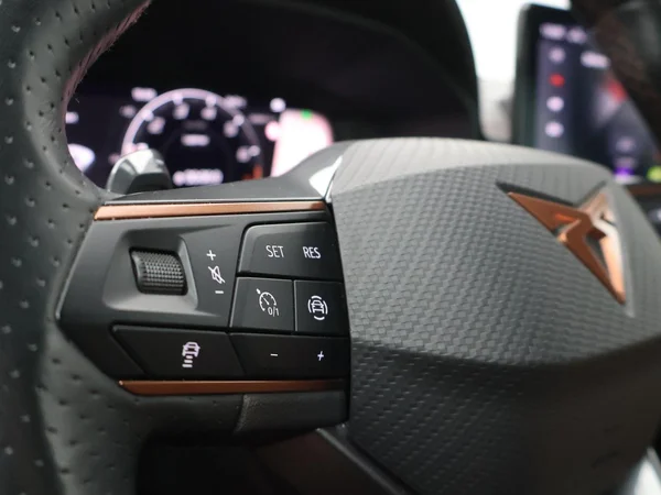 CUPRA Formentor (2022) — foto 5 van 23
