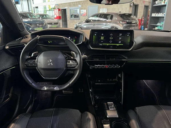 Peugeot 2008 (2022) — foto 16 van 16