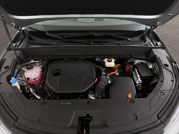 GEELY Starray EM-i (2026) — foto 6 van 29