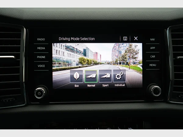 SKODA Kodiaq (2019) — foto 9 van 31