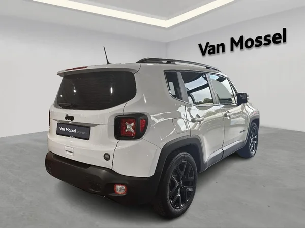 Jeep Renegade (2019) — foto 13 van 18