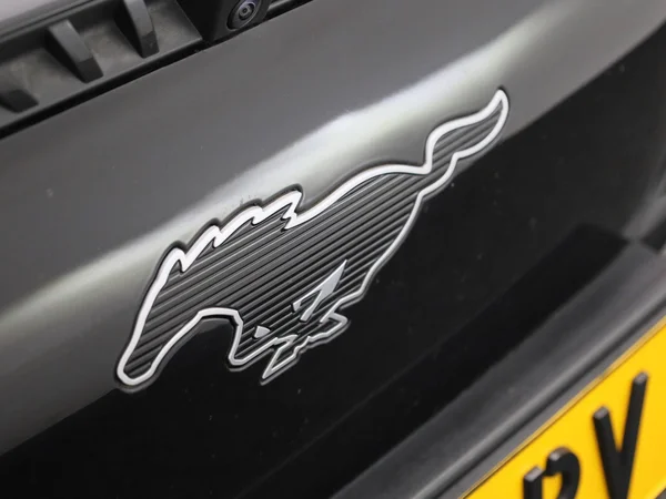 Ford Mustang Mach-E (2021) — foto 40 van 52