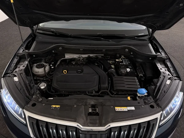 SKODA Karoq (2021) — foto 6 van 30