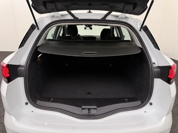 RENAULT Megane (2022) — foto 8 van 30