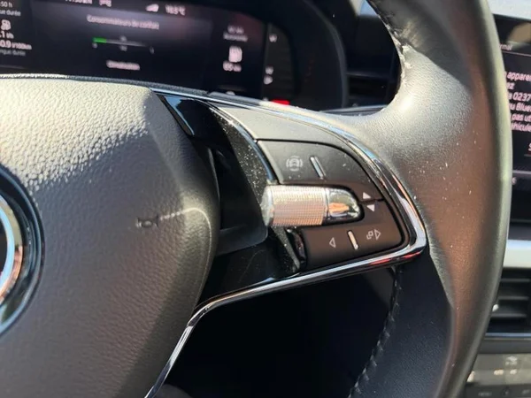 SKODA Kamiq (2022) — foto 13 van 31