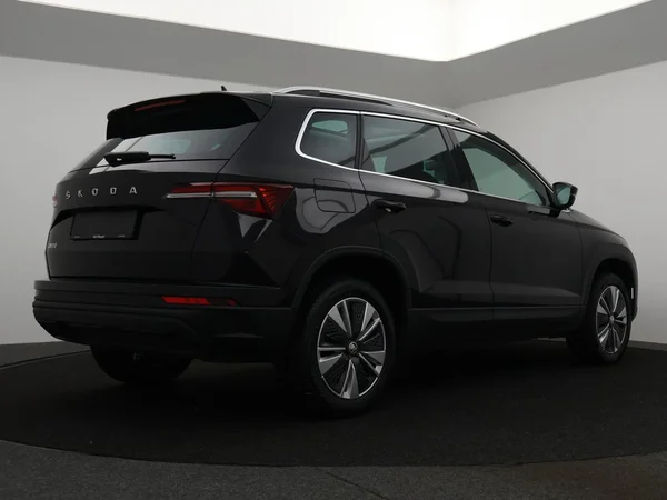 SKODA Karoq (2023) — foto 28 van 33