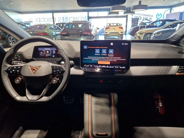 CUPRA Born (2024) — foto 14 van 19