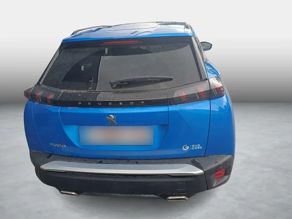 Peugeot 2008 (2020) — foto 14 van 17