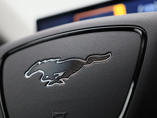 Ford Mustang Mach-E (2021) — foto 25 van 43