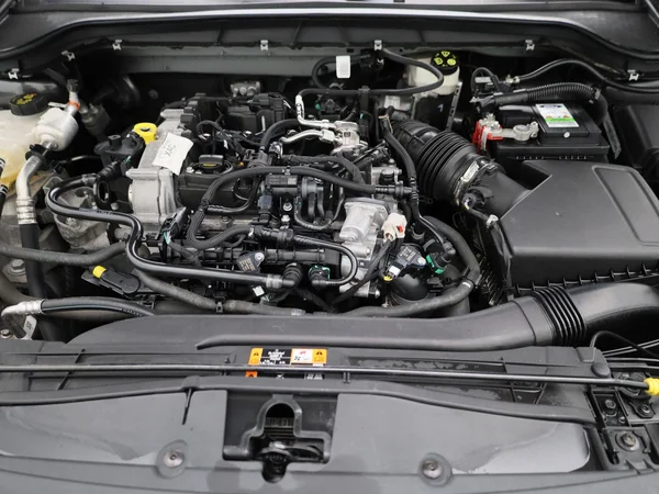 Ford Focus (2022) — foto 25 van 39