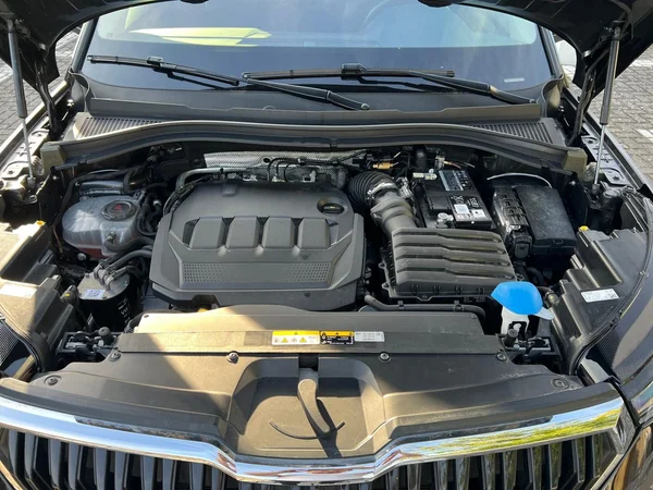 SKODA Kodiaq Dsl (2024) — foto 15 van 23