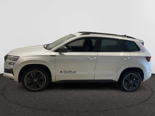 SKODA Karoq (2026) — foto 12 van 20