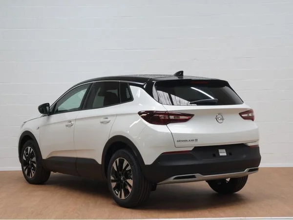 Opel Grandland X (2021) — foto 15 van 20