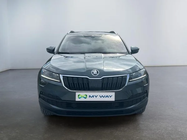 SKODA Karoq (2020) — foto 29 van 34