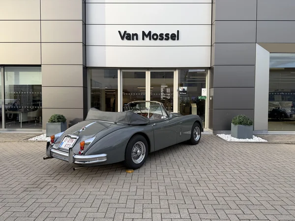Jaguar XK (1960) — foto 18 van 21