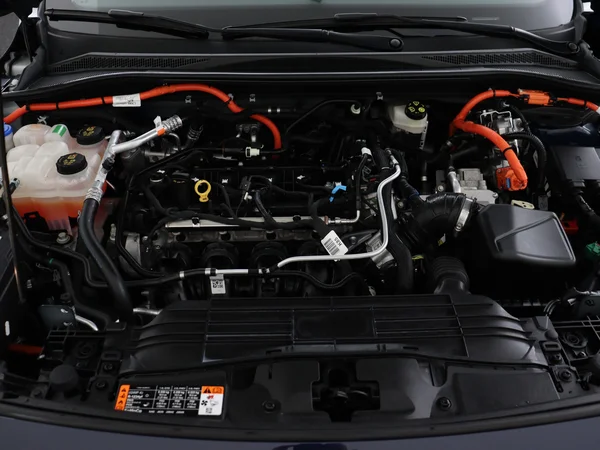 FORD Kuga (2022) — foto 6 van 29