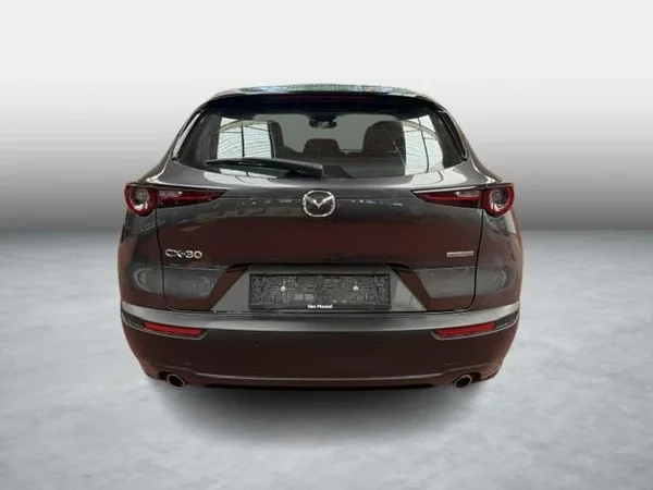 Mazda CX-30 (2019) — foto 12 van 15
