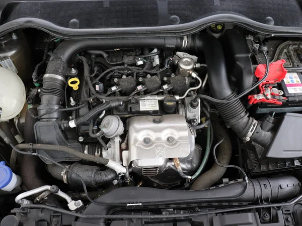 FORD Fiesta (2024) — foto 6 van 27