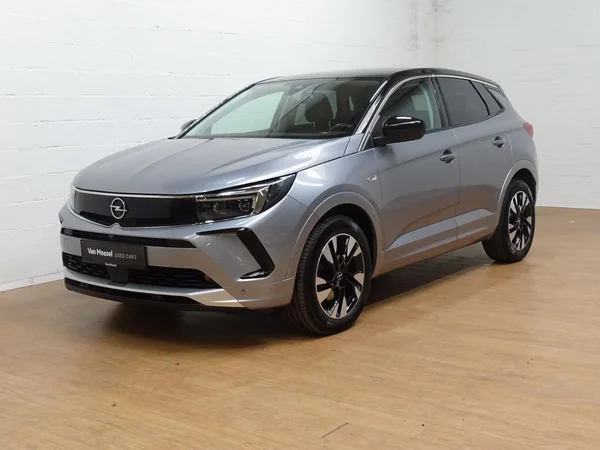 Opel Grandland (2022) — foto 17 van 21