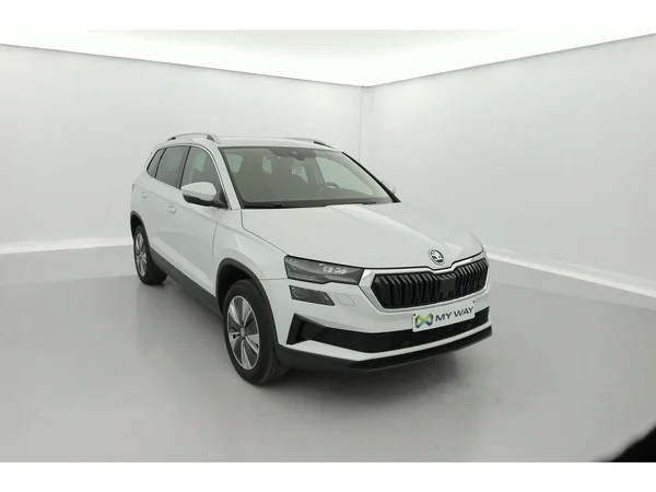 SKODA Karoq (2023) — foto 23 van 36