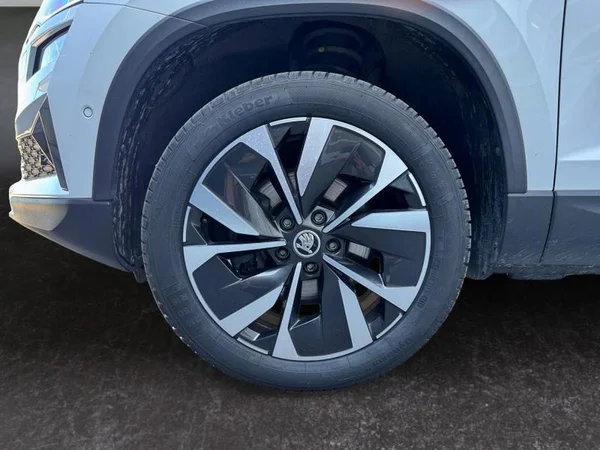 SKODA Karoq Dsl (2023) — foto 32 van 32