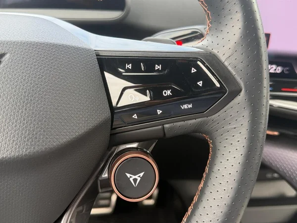 CUPRA Tavascan (2025) — foto 4 van 25
