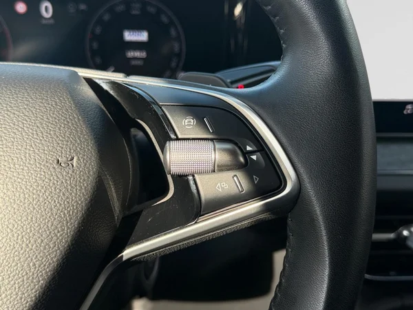 SKODA Kodiaq (2024) — foto 4 van 22
