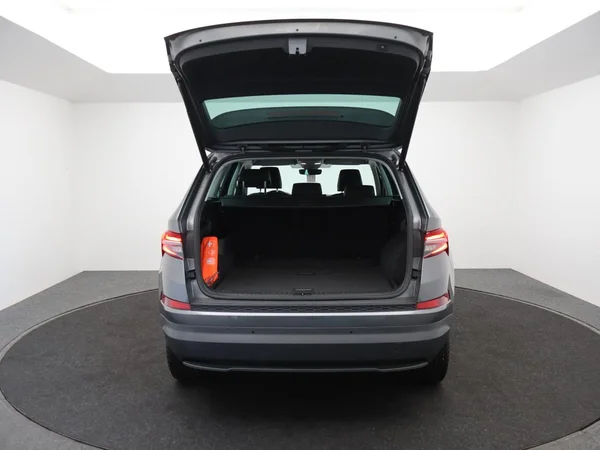 SKODA Kodiaq (2022) — foto 8 van 32