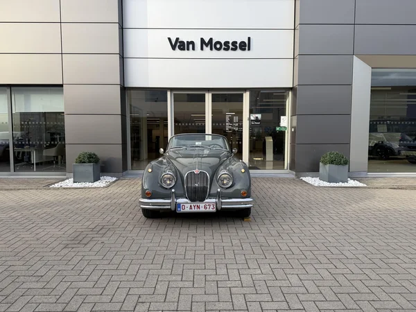 Jaguar XK (1960) — foto 12 van 21