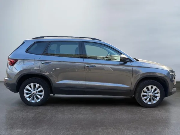 SKODA Karoq (2022) — foto 30 van 31