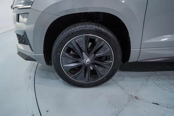 Skoda Karoq (2022) — foto 2 van 49