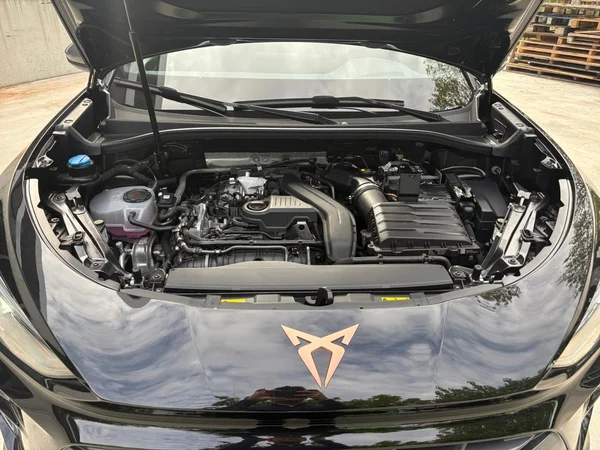 CUPRA Terramar (2026) — foto 15 van 24