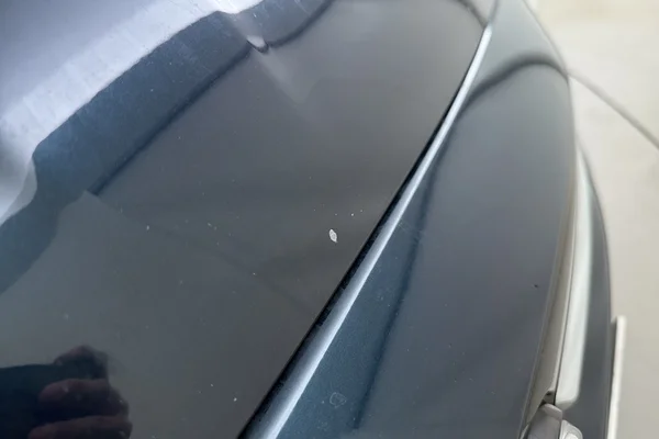 Fiat 500 (2021) — foto 10 van 19