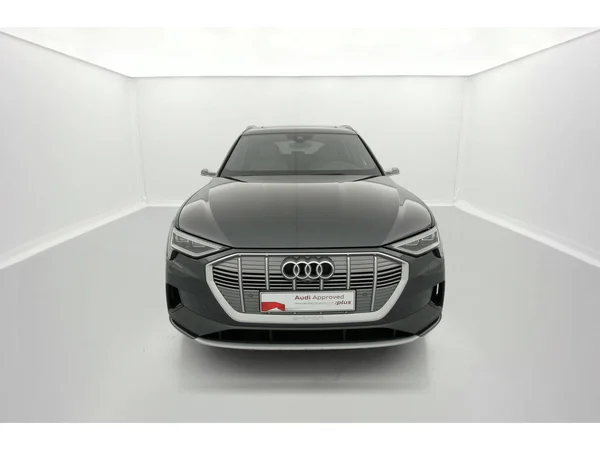 AUDI e-tron (2019) — foto 12 van 31