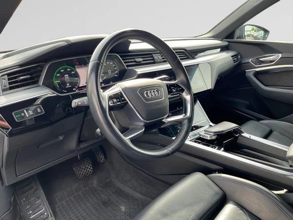 AUDI e-tron (2019) — foto 21 van 24