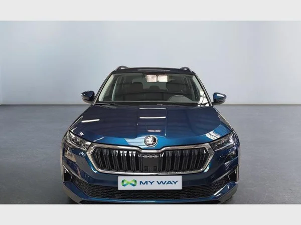Skoda Karoq (2023) — foto 12 van 29