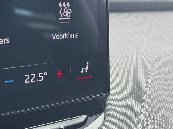 SKODA Enyaq (2021) — foto 11 van 19