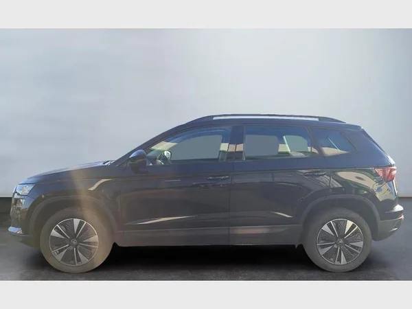Skoda Karoq (2026) — foto 19 van 24