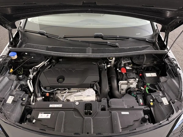 PEUGEOT 3008 (2022) — foto 6 van 30