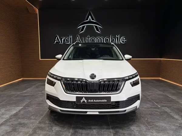 Skoda Kamiq (2020) — foto 12 van 26