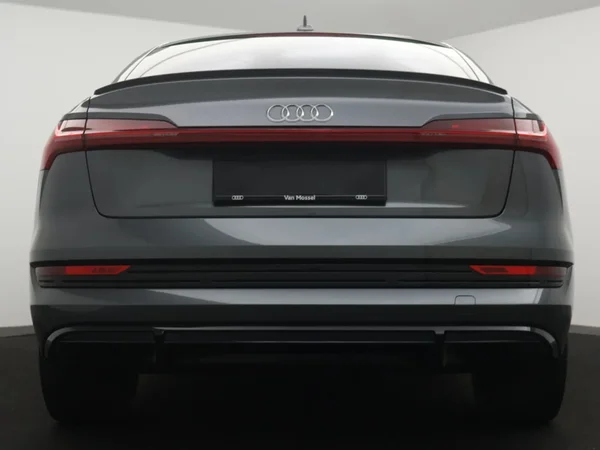 Audi e-tron (2022) — foto 22 van 27