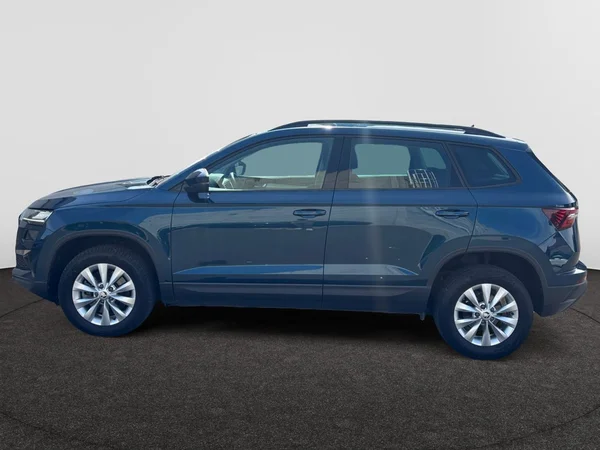 SKODA Karoq Dsl (2023) — foto 7 van 19