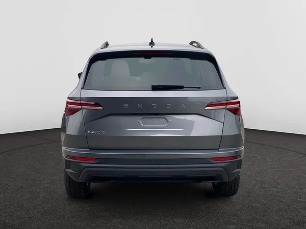 SKODA Karoq (2025) — foto 14 van 16