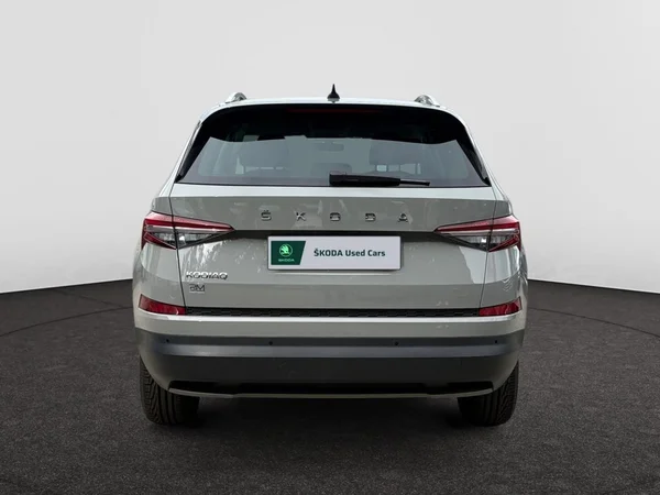 SKODA Kodiaq (2023) — foto 15 van 21